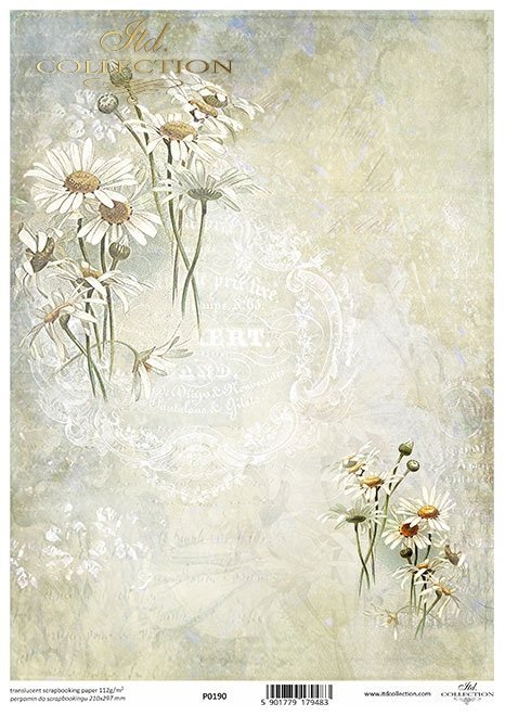 Seria Flower Post - White, Kwiatowa Poczta w bieli, rumianek*Chamomile*Kamille*Manzanilla