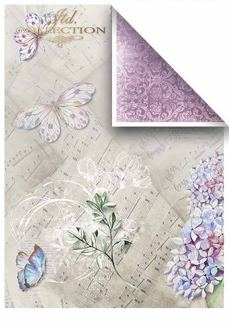 Papiery do scrapbookingu w zestawach - Fioletowa rapsodia * Papeles de Scrapbooking en sets - Purple rhapsody