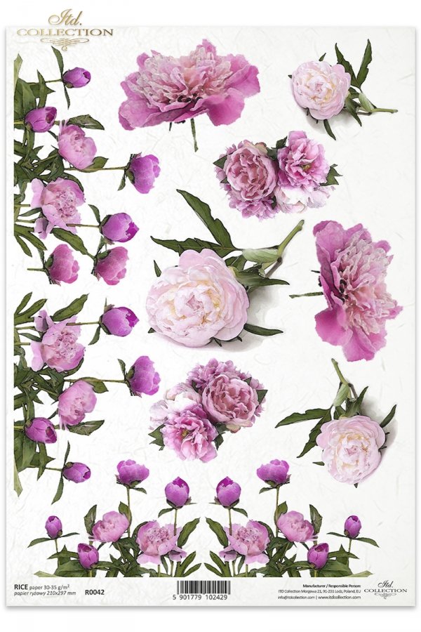 peonia, peonie, peony, peonies, flower, flowers, bouquets, bouquet, Blumen, Pfingstrose, Zweige, Sträuße und einzelne Blumen, ramo, ramos, flor, flores, jardín, peonía, peonías 