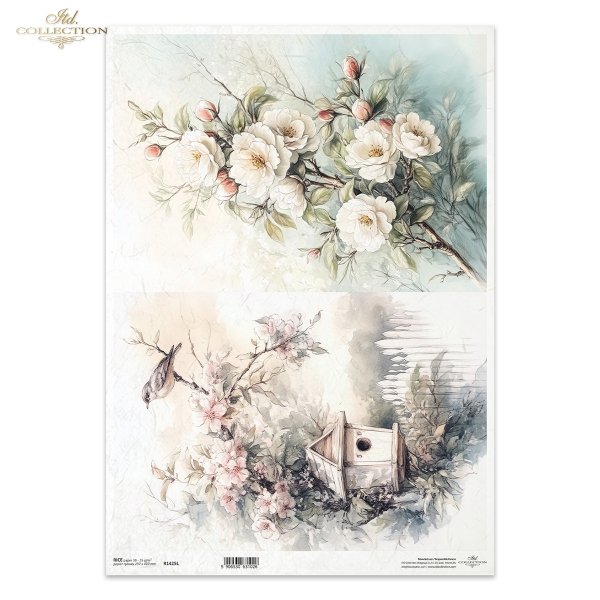 kwiaty flowers Blumen flores 