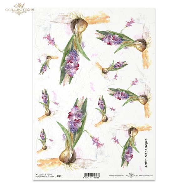 hiacynt, kwiat, ogród, łąka, wiosna, autorka grafiki Maria Kopeć, R909, hyacinth, flower, garden, meadow, spring, Hyazinthe, Blume, Garten, Wiese, Frühling, jacinto, flor, jardín, prado, primavera
