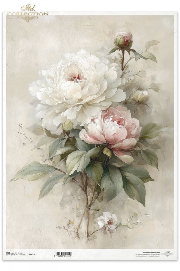 vintage, flora, bukiety, kwiaty, botanika, peonia