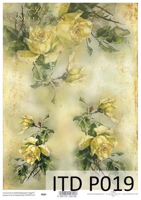 Papiery do scrapbookingu, papier specjalny, półprzezroczysty*Paper for scrapbooking, special paper, Translucent