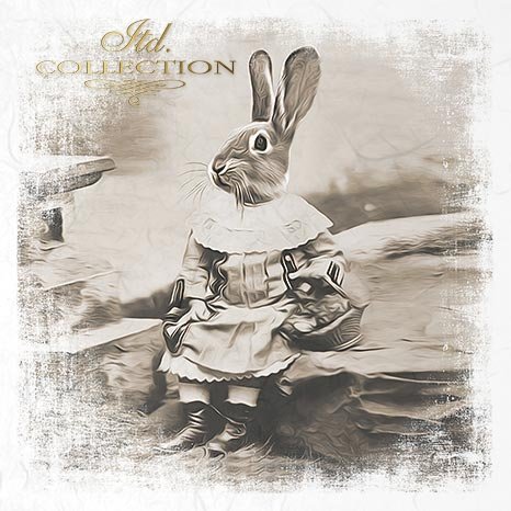 zwierzęta retro, zwierzęta w strojach, zoomorfizm, vintage,  króliki, zające, sielskie, sepia*retro animals, animals in costumes, zoomorphism, vintage, rabbits, hares, idyllic, sepia