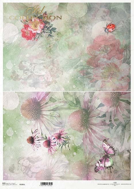 akwarelowe tła, kwiaty, echinacea, dzika róża, zakochane pary*watercolour background, flowers, echinacea, wild rose, couples in love