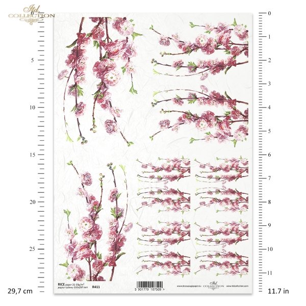 flower, flowers, leaf, leaves, flower petals, blossoming apple tree, apple tree flower