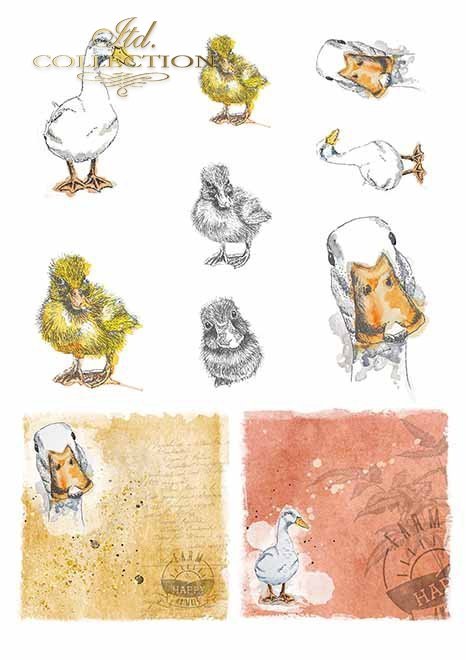 Papiery do scrapbookingu w zestawach - wesoła farma cz.2 * Papers for scrapbooking in sets - a cheerful farm vol.2