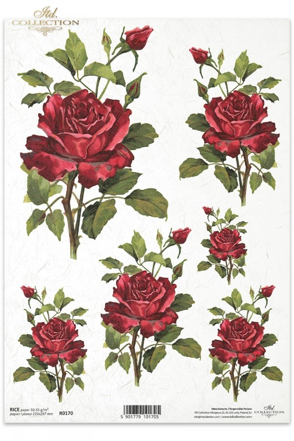 kwiaty, różyczki, róże, róża, ogród, R170, gently, purple, roses, flowers, garden, Burgunder Farbe Rosen. Schöne subtile Rosen, einzelne burgunderfarbene Blumen, color burdeos rosas. Hermosas rosas sutiles, flores de color burdeos 