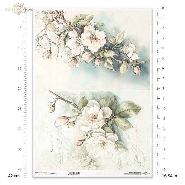 kwiaty flowers Blumen flores 