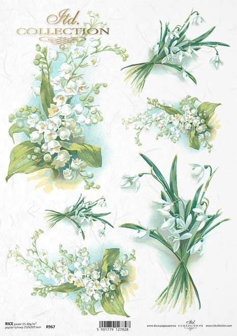 konwalia, konwalie, przebiśnieg, bukiet, kwiat, łąka, ogród, wiosna, R967, lily of the valley, snowdrop, bouquet, flower, meadow, garden, spring, Maiglöckchen, Schneeglöckchen, Strauß, Blume, Wiese, Garten, Frühling, lirio de los valles, campanilla de inv