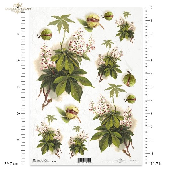 kasztany-kwiaty-kasztanowca-liście- gałązki-papier-decoupage-ryżowy-R0322