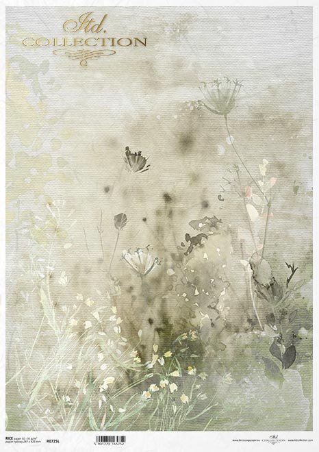kwiaty polne, trawy, akwarela*field flowers, grasses, watercolour*Feldblumen, Gräser, Aquarell*flores de campo, hierbas, acuarela