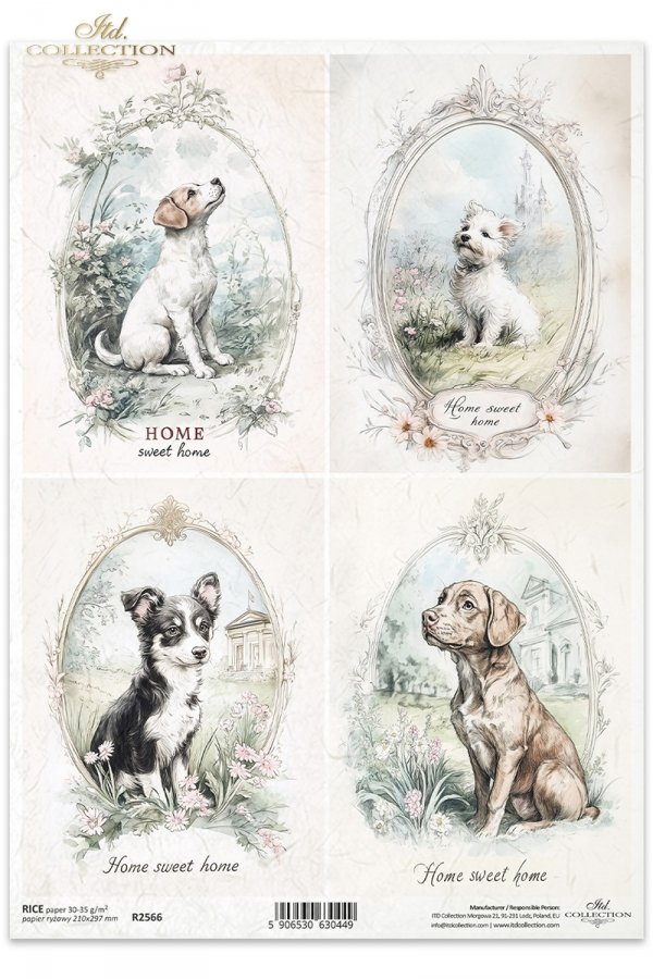 psy, pieski, wiejskie zwierzęta, wiosenne klimaty, rustykalny styl*dogs, country animals, spring breeds, rustic style*Hunde, Hühner, Tiere auf dem Lande, Frühlingsblumen, rustikaler Stil*perros, gallinas, animales de campo, clima primaveral, estilo rústic
