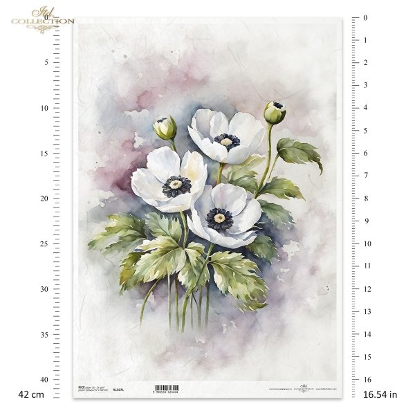 letnie kwiaty, bukiet kwiataów*Summer flowers, flower bouquet*Sommerblumen, Blumenstrauß*Flores de verano, ramo de flores 