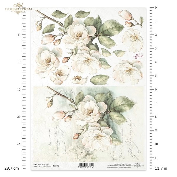 kwiaty 3D, jabłoń*3D flowers, apple tree*3D-Blumen, Apfelbaum*Flores 3D, manzano