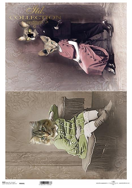 zwierzęta retro, zwierzęta w strojach, zoomorfizm, vintage, wiktoriańskie, kotek, koty, sfinksy*retro animals, animals in costumes, zoomorphism, vintage, Victorian, kitten, cats, sphinxes