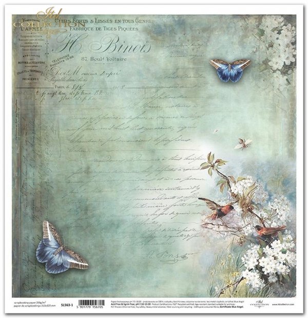kwiaty, ptaki, motyle, tło, dekoracyjne tło, stare napisy*flowers, birds, butterflies, background, decorative background, old inscriptions*Blumen, Vögel, Schmetterlinge, Hintergrund, dekorativer Hintergrund, alte Inschriften*flores, pájaros, mariposas, fo
