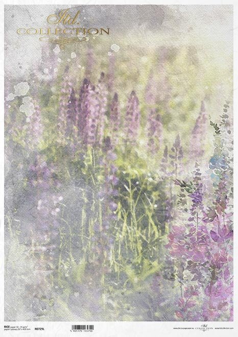 kwiaty polne, trawy, akwarela*field flowers, grasses, watercolour*Feldblumen, Gräser, Aquarell*flores de campo, hierbas, acuarela