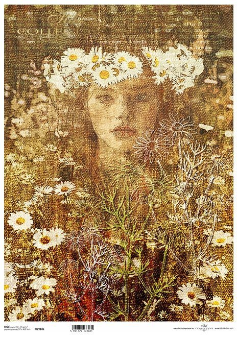  twarz kobiety, rośliny, rumianek* female face, plants, camomile* Weibliches Gesicht, Pflanzen, Kamille* rostro femenino, plantas, manzanilla