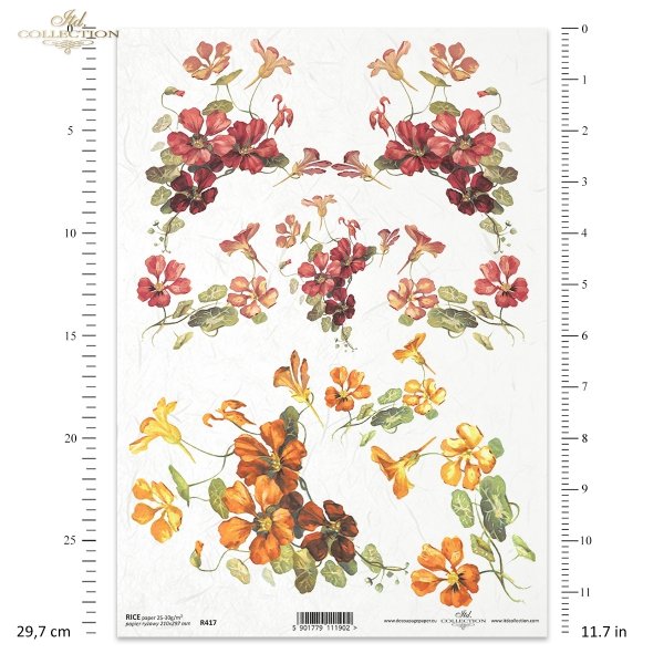flower, flowers, leaf, leaves, flower petals, spring, nasturtium, nasturtiums, R417