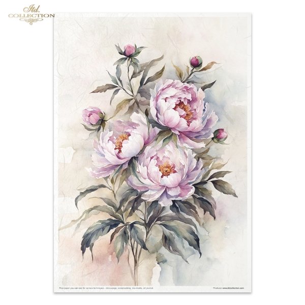 Conjunto Creativo RP074 - Summer Bouquet