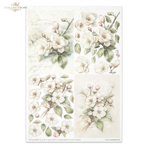 Conjunto Creativo MS047 - Cottage in the Country