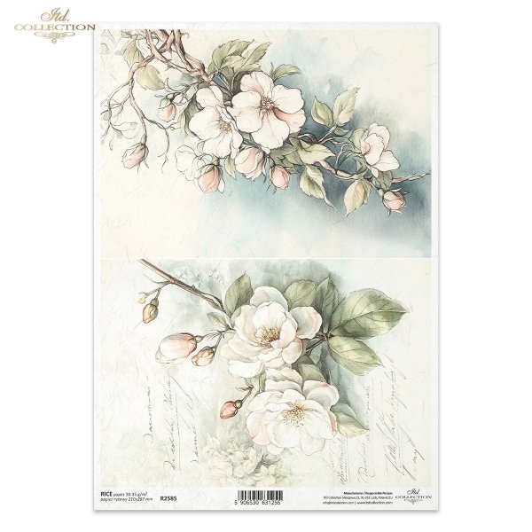 kwiaty flowers Blumen flores 