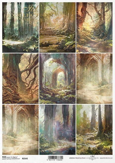 Mysterious forest - tajemniczy las * Mysterious forest * Mysteriöser Wald * Bosque misterioso