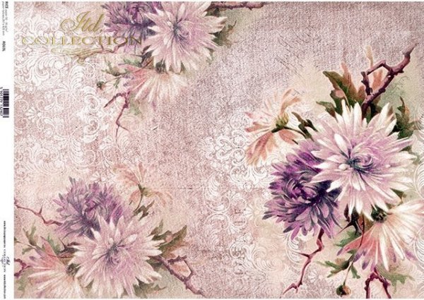 flores de papel de arroz, Astra, fondo púrpura*рисовая бумага цветы, Astra, фиолетовый фон*Reispapierblumen , Astra, lila Hintergrund