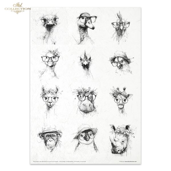 Crazy Animals - Zwariowane Zwierzęta - Crazy Animals - Verrückte Tiere - Animales Locos