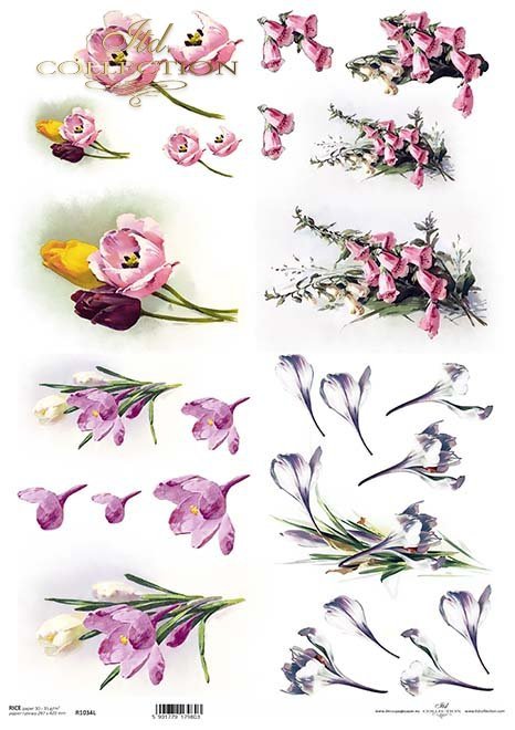 wiosenne kwiaty, naparstnica, tulipan, krokusy*spring flowers, foxglove, tulip, crocus*Frühlingsblumen, Fingerhut, Tulpe, Krokus*flores de primavera, dedalera, tulipán, azafrán