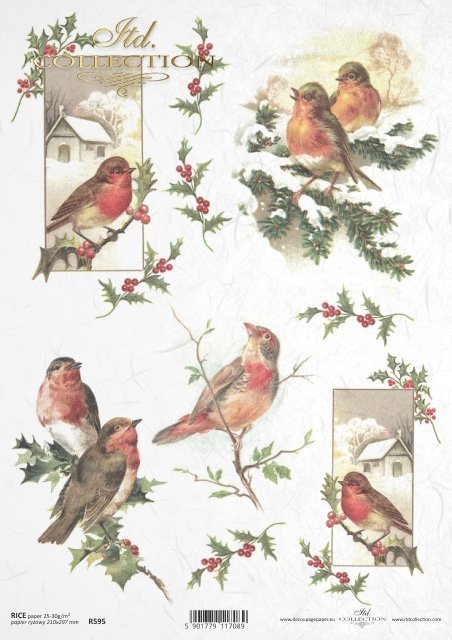 ptak, ptaszek, ptaszki, zima, śnieg, ostrokrzew, dekoracje na Boże Narodzenie, bożonarodzeniowe motywy, R595, bird, winter, snow, holly, christmas decorations, christmas motifs, Vogel, Vögelchen, Winter, Schnee, Stechpalme, Weihnachtsdekoration, Weihnacht