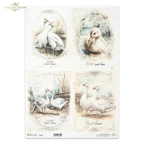 gęsie, gąski, wiejskie zwierzęta, wiosenne klimaty, rustykalny styl*geese, countryside animals, spring breeding, rustic style*Gänse, Tiere auf dem Lande, Frühjahrsaufzucht, rustikaler Stil