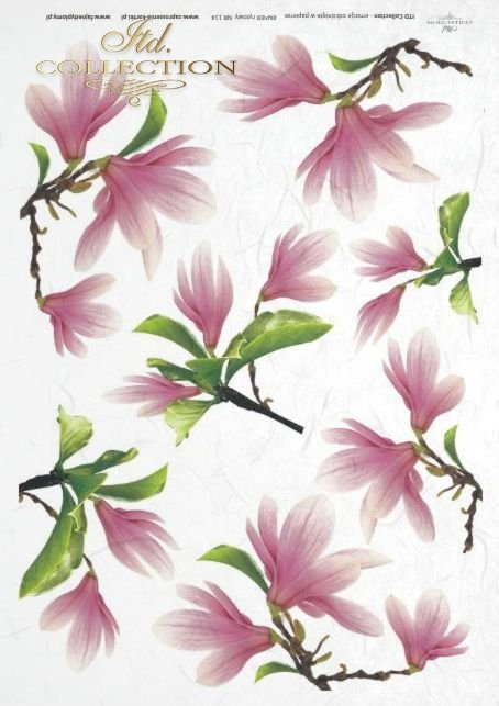 papier-ryżowy-decoupage-magnolia-magnolie-kwiat-magnolii-kwiaty-R0114