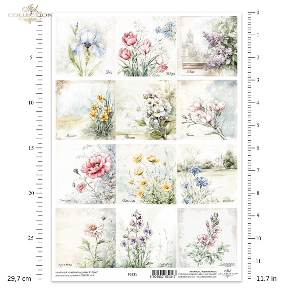 kwiaty, mak, jaskier, chaber, złocień łąkowy, rzeżucha łąkowa, dymnica pospolita, Irys, tulipan, bez, lilak, narcyz, prymulka, frezja*flowers, poppy, ranunculus, cornflower, meadow goldenrod, meadow cress, common cress, iris, tulip, lilac, narcissuskwiaty