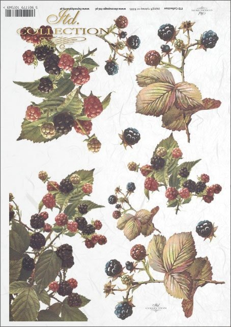 blackberries, blackberry fruit, blackberry bushes, fruit, R395