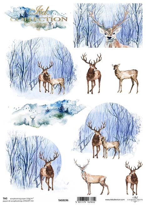 zimowe widoczki z jeleniem i łanią*winter views with deer and doe*Winteransichten mit Rehen und Hirschkühen*vistas de invierno con ciervos y ciervas