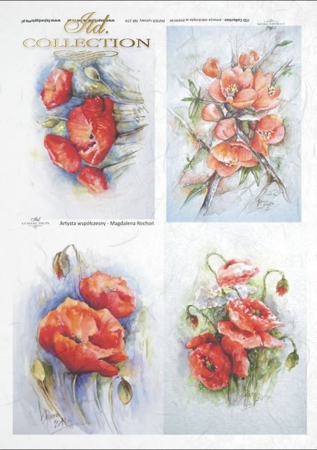 flowers, poppies, field flowers, field poppies, red flowers, by Magdalena Rochoń