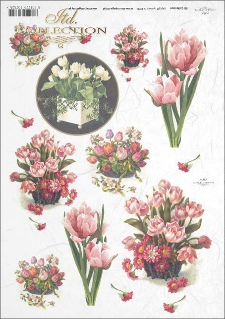 tulip, tulips, flower, flowers, bouquet, bouquets, R393