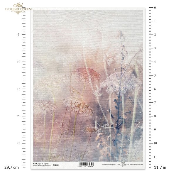 trawy, kwiaty polne, dzikie kwiaty, łąka, zioła, akwarela, akwarele, tło, tła, struktura płótna, Summer meadow, grass, grasses, field flowers, wild flowers, meadow, herbs, watercolour, background, canvas structure, Gras, Gräser
