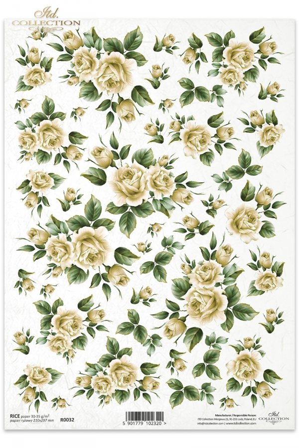 róża, róże, dzika róża, pąki, liście, bukiety, kwiat, kwiaty, R032, Rose, roses, buds, leaves, bouquets, flowers, flower, gelbe Rosen, Blumen, rosas amarillas, flores 