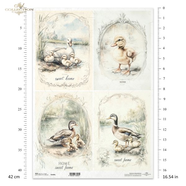 kaczki, kaczuszki, wiejskie zwierzęta, wiosenne klimaty, rustykalny styl*ducks, ducklings, country animals, spring climate, rustic style*Enten, Entenküken, Tiere auf dem Land, Frühlin*patos, patitos, animales de campo, clima primaveral, estilo rústicogskl