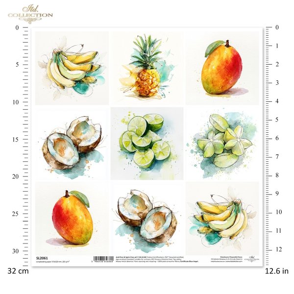 Limonka, ananas, kokos, karambola, banan, mango, akwarela