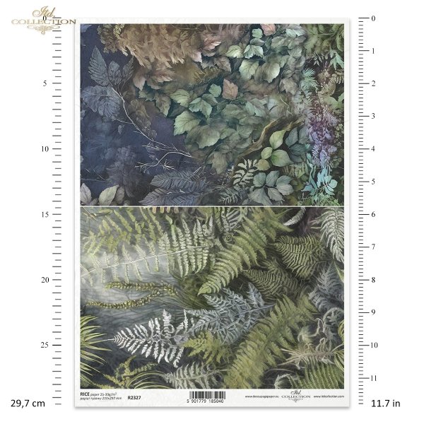 tajemniczy las, puszcza, paproć, paprocie, paprotka, motywy roślinne, flora, liście, rośliny, roślinność, Mysterious Creatures, mysterious forest, wilderness, fern, ferns, plant motifs, flora, leaves, plants, vegetation, Geheimnisvoller Wald