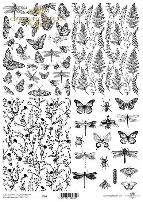 rośliny, liście, ważki, motyle, owady*plants, leaves, dragonflies, butterflies, insects