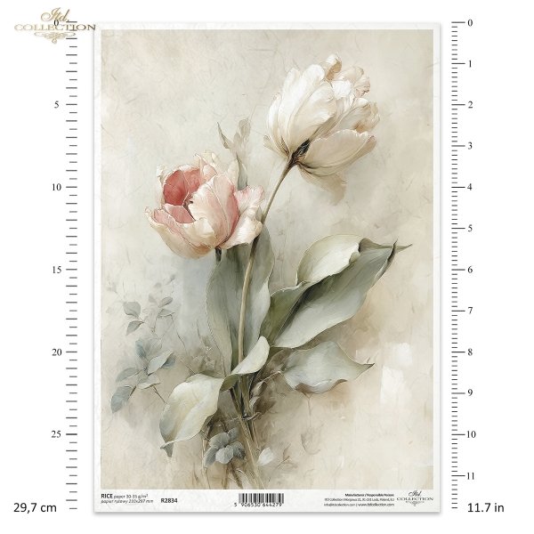 vintage, flora, bukiety, kwiaty, botanika, tulipan