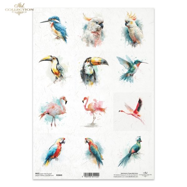 zimorodek, kakadu, tukan, koliber, akwarela, flaming, papuga, turako*kingfisher, cockatoo, toucan, hummingbird, watercolor, flamingo, parrot, turaco