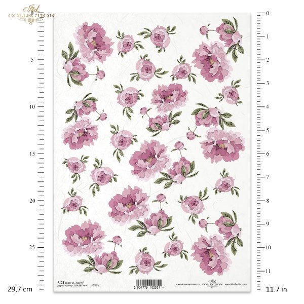 flower, flowers, peony, peonys, kwiat, kwiaty, peonia, peonie