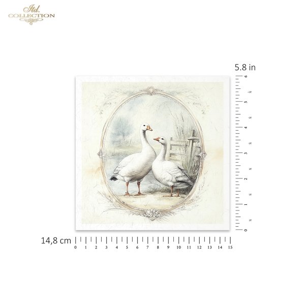 Zestaw papierów ryżowych (HS code 48021000) RSM162