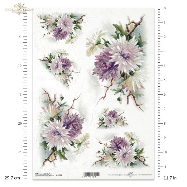 flower, flowers, bud, buds, leaf, leaves, garden, meadow, bouquet, bouquets, asters, background, ornament, floral, Blume, Knospe, Knospen, Blatt, Blätter,Astern, Garten, Wiese, Strauss, Sträusse, Hintergrund, Ornamen